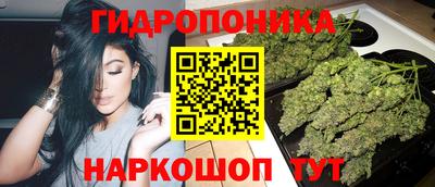дурь Будённовск