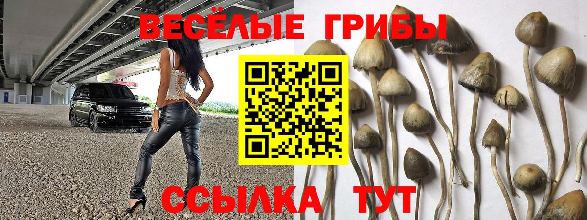 Владикавказ  Бошки Шишки  Вход с VPN  ЭКСТАЗИ  ГАШИШ  Лсд 25  Меф   Кодеин 
