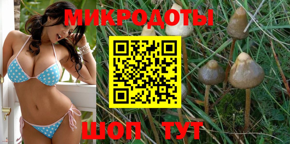 Псилоцибиновые грибы MAGIC MUSHROOMS  Псилоцибиновые грибы мухоморы  Владикавказ  Вход с VPN 