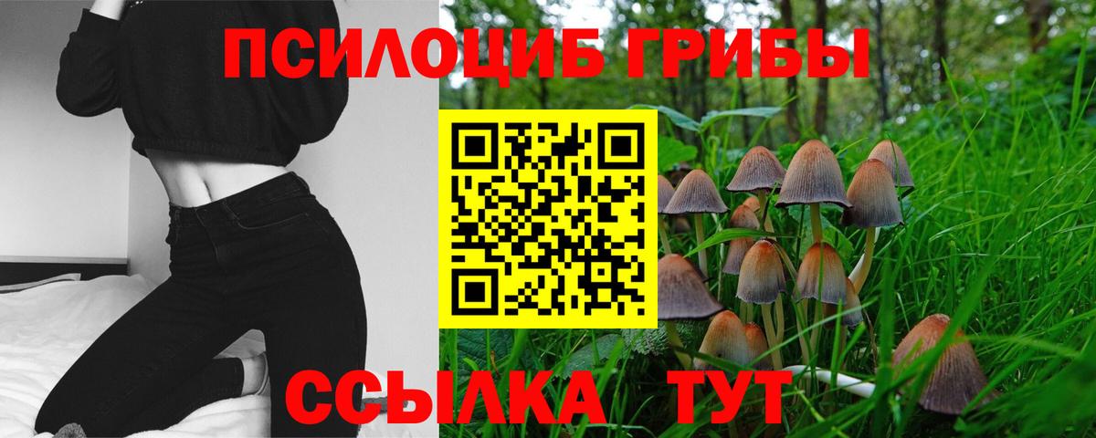 Псилоцибиновые грибы мицелий Владикавказ